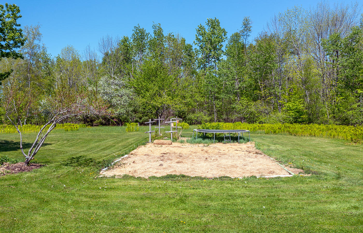 361 Hatchet Mountain Road Hope, ME 04847 - Photo 33 of 46 organic garden