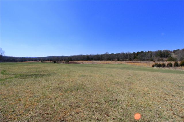 17 Locust Grove Road Watertown, TN 37184 - Photo 5 of 11 Gallery Image 5