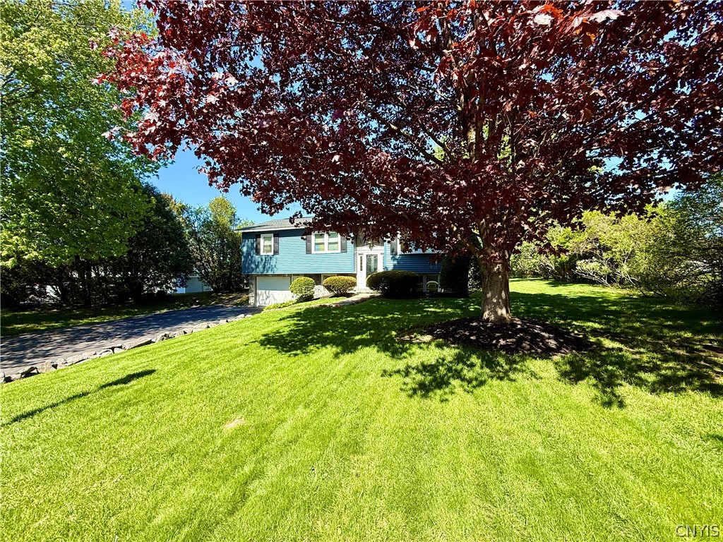 373 Newport Road Schuyler, NY 13502 - Photo 6 of 50