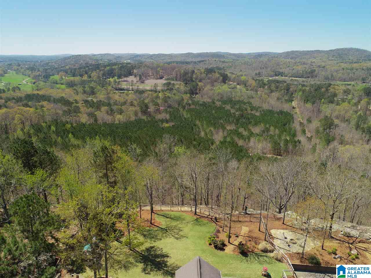 624 Hickory Valley Road Trussville, AL 35173 - Photo 7 of 40