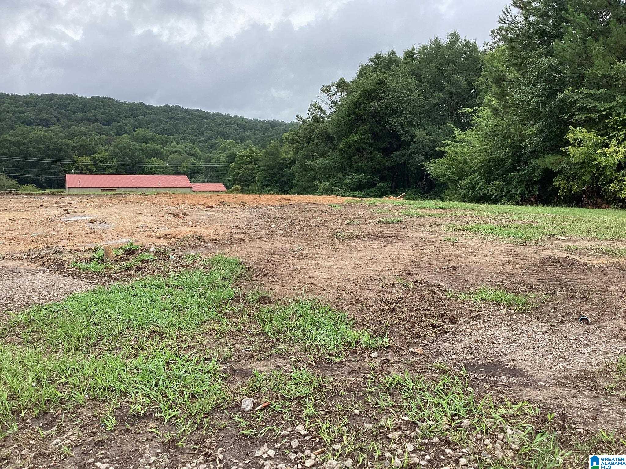 7392 Highway 75, Unit 1 Pinson, AL 35126 - Photo 1 of 12
