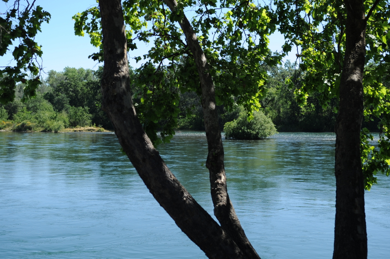 6471 Riverside Drive Redding, CA 96001 - Photo 16 of 56 a lake view with a lake view