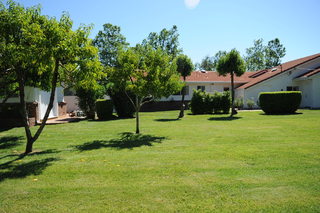 6471 Riverside Drive Redding, CA 96001 - Photo 25 of 56 a view of a backyard with a garden