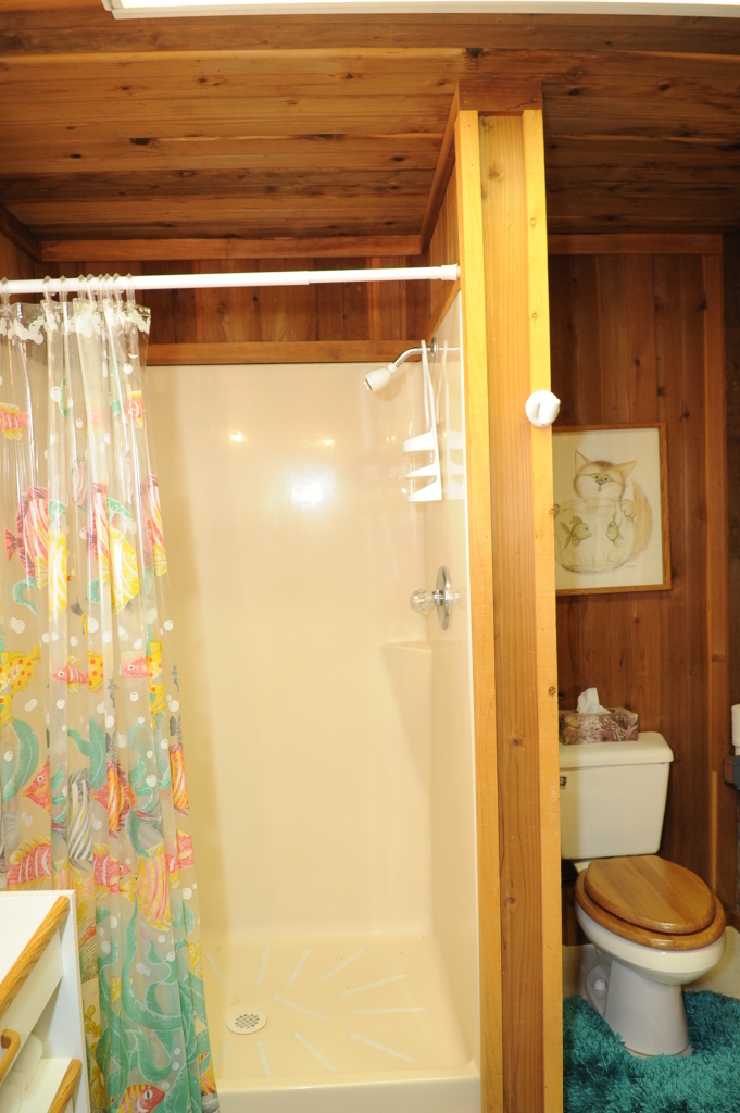 6471 Riverside Drive Redding, CA 96001 - Photo 56 of 56 a bathroom with a toilet and a shower