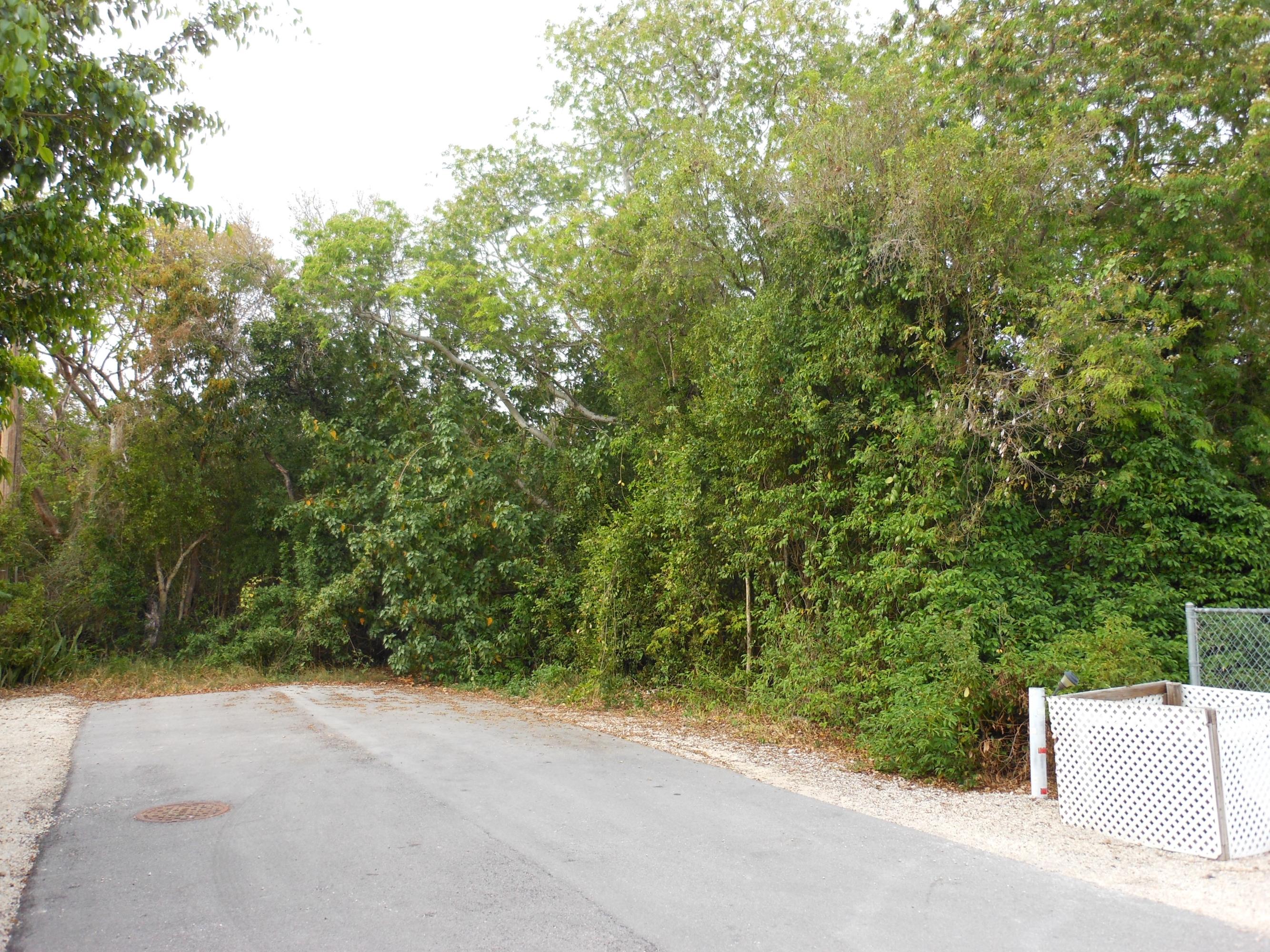 242 West Indies Road Tavernier, FL 33070 - Photo 2 of 6 2014-05-27 04