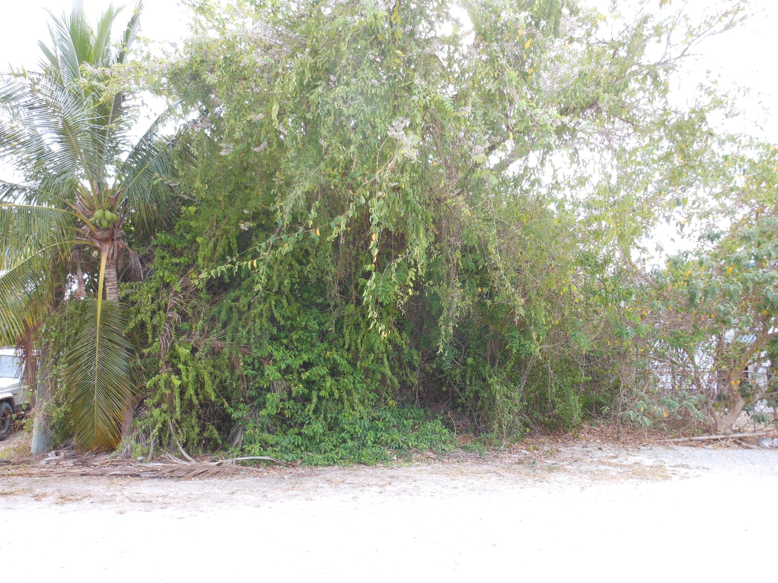 242 West Indies Road Tavernier, FL 33070 - Photo 3 of 6 View from Dove Lake Dr (1)