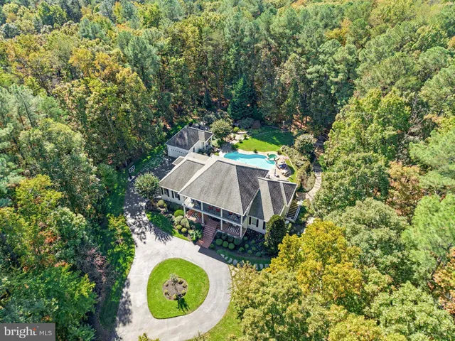 a view of a park with large trees