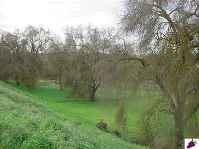 7017 South Reed Avenue Reedley, CA 93654 - Photo 4 of 14 Picture of open meadow.