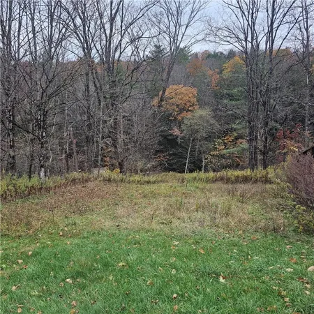 $175,000 | 7189 Freeman Hollow Road, Bath, NY 14810