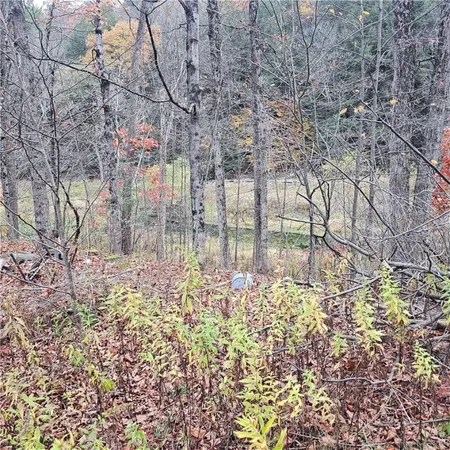 $175,000 | 7189 Freeman Hollow Road, Bath, NY 14810