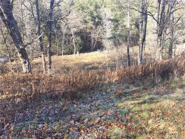 $175,000 | 7189 Freeman Hollow Road, Bath, NY 14810