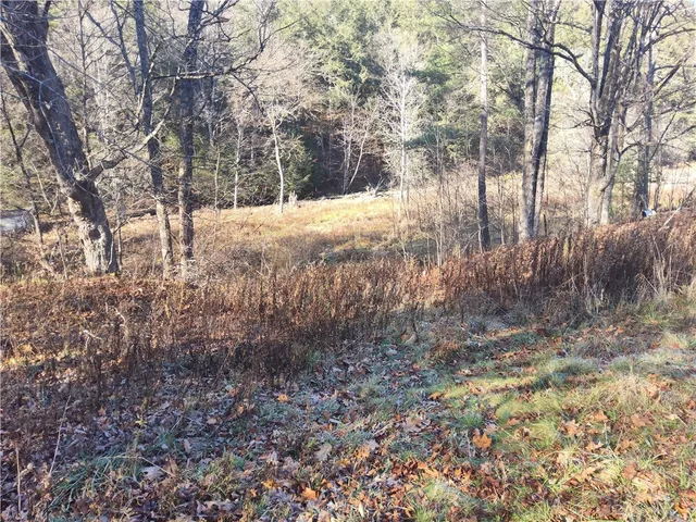 $175,000 | 7189 Freeman Hollow Road, Bath, NY 14810