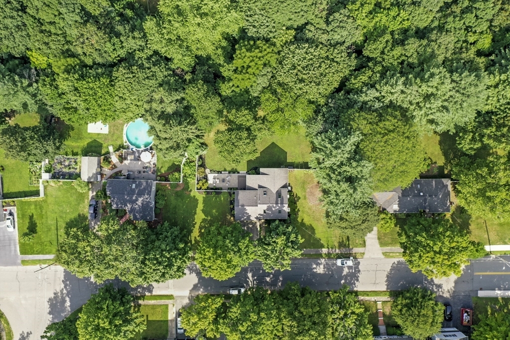 19 Arcadia Avenue Reading, MA 01867 - Photo 39 of 42