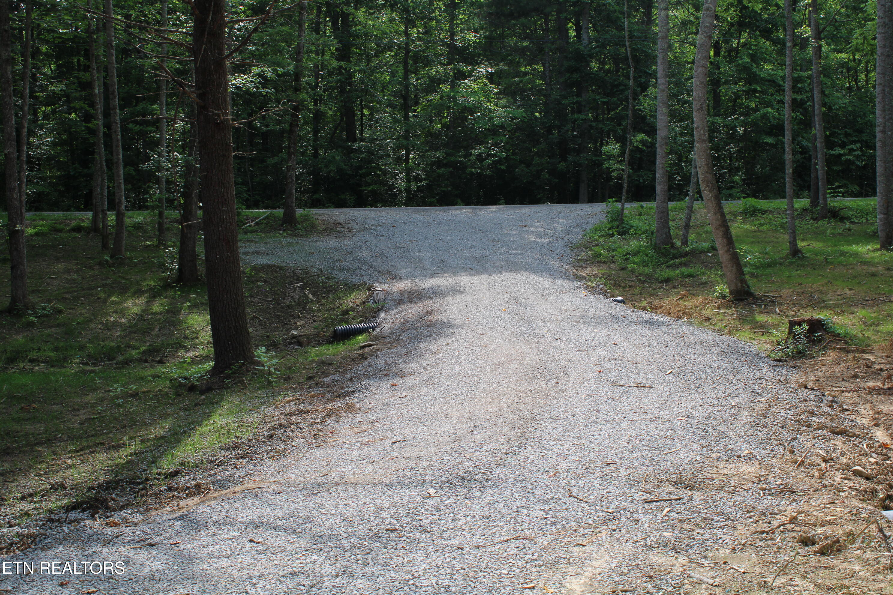 137 John Cox Road Deer Lodge, TN 37726 - Photo 29 of 43 IMG_0317