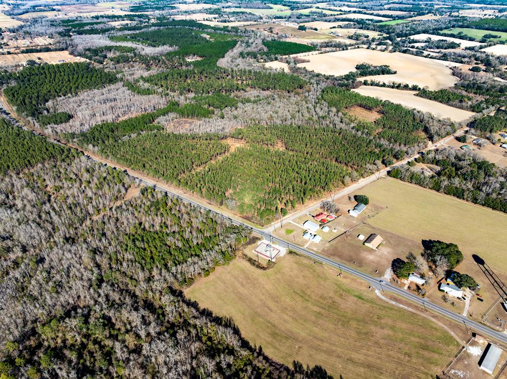 Lot 3-15 -ac Cottonwood Rd/ Phillips Road Cottonwood, AL 36320 - Photo 31 of 49