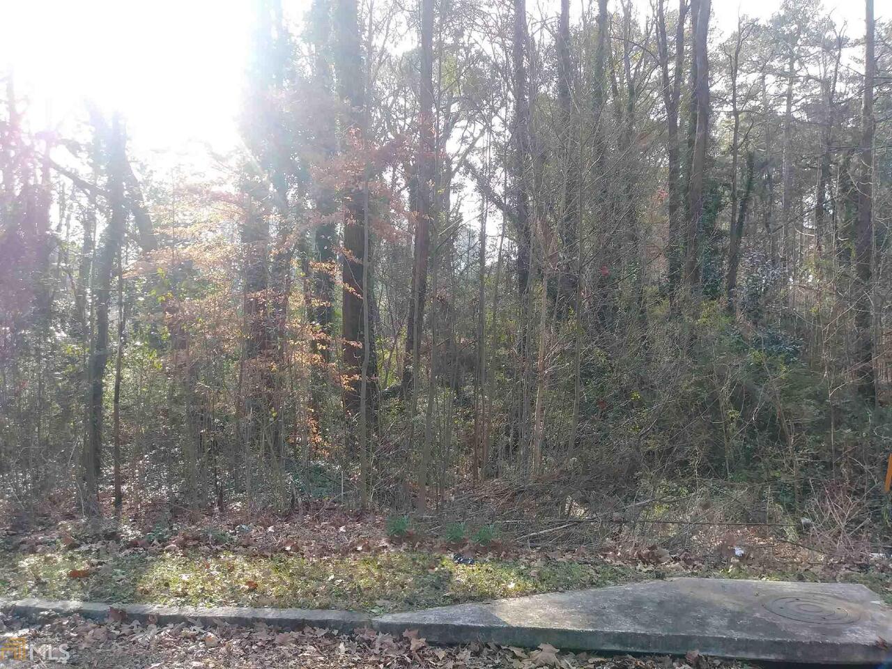 1317 Renee Drive Decatur, GA 30035 - Photo 1 of 1 a view of a forest