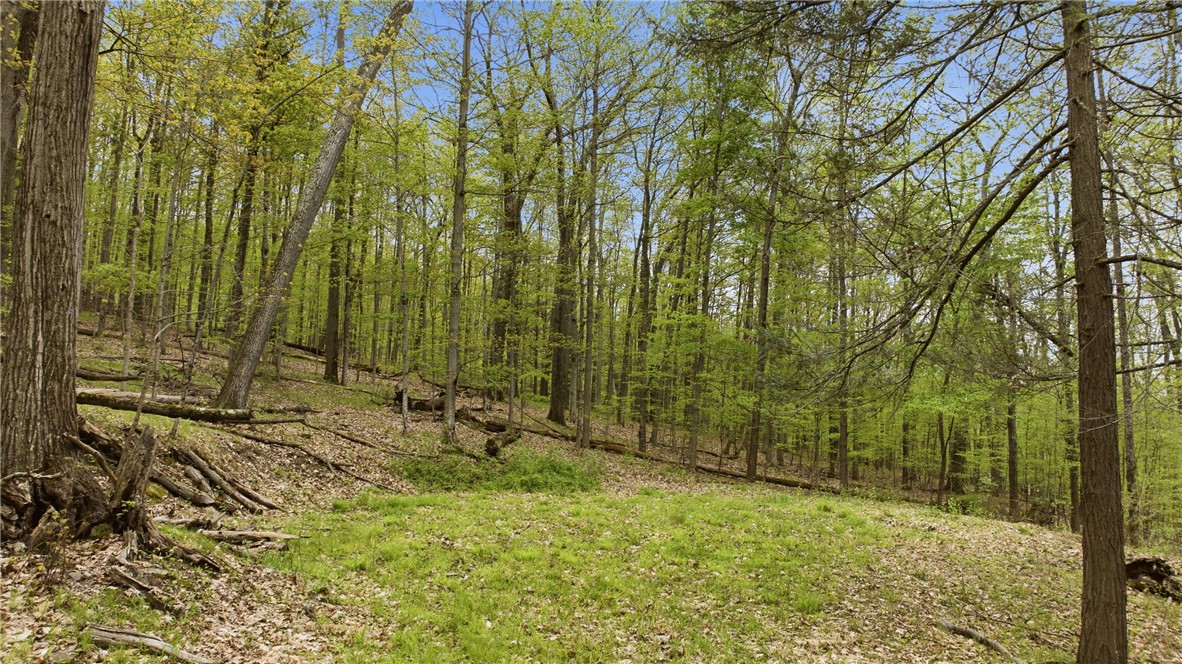 Silvernail Road Hammondsport, NY 14840 - Photo 5 of 25