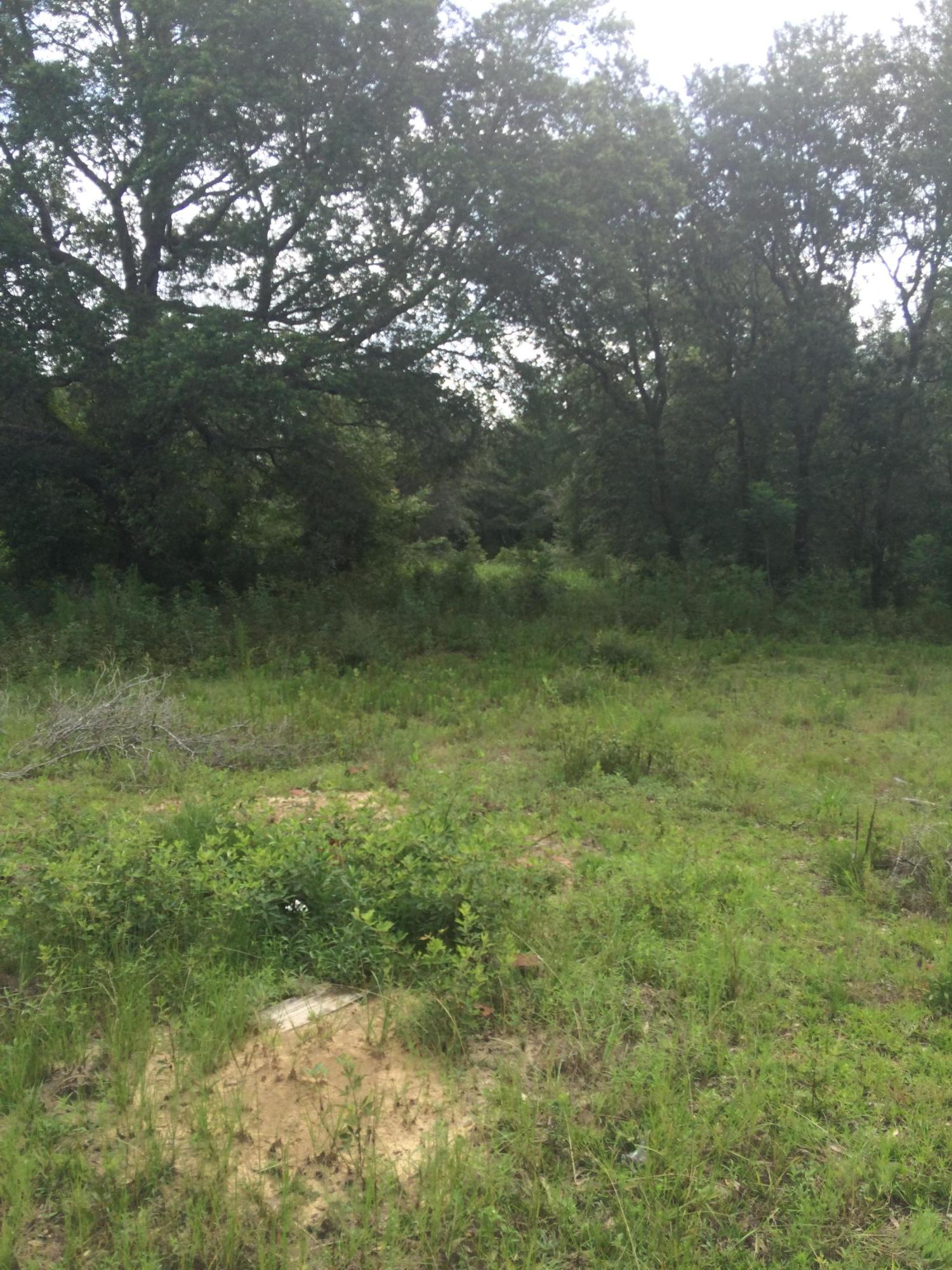 5075 Robert Taylor Road Crestview, FL 32539 - Photo 16 of 19 IMG_2094