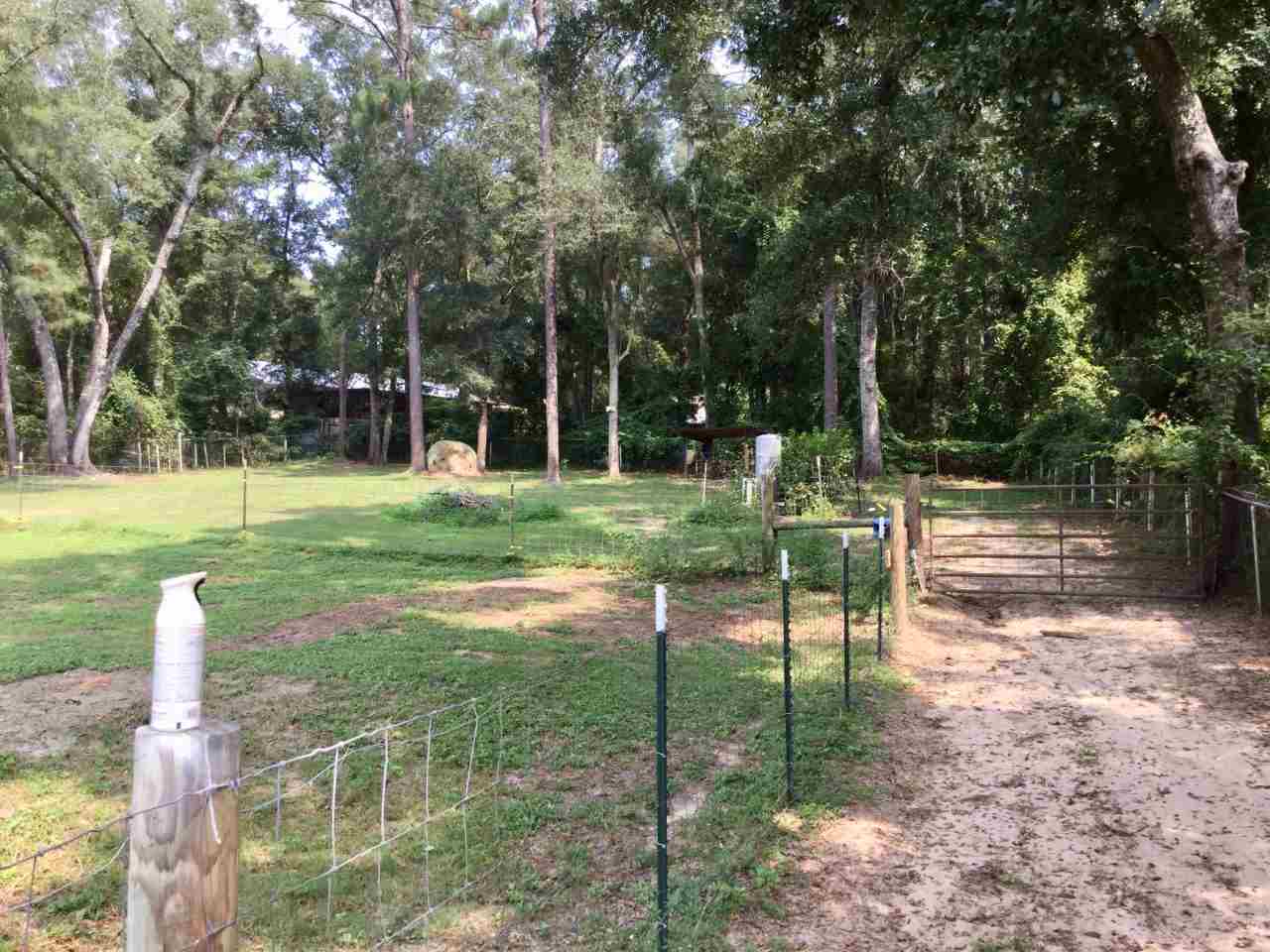 6340 Williams Road Tallahassee, FL 32311 - Photo 8 of 23 Gallery Image 8