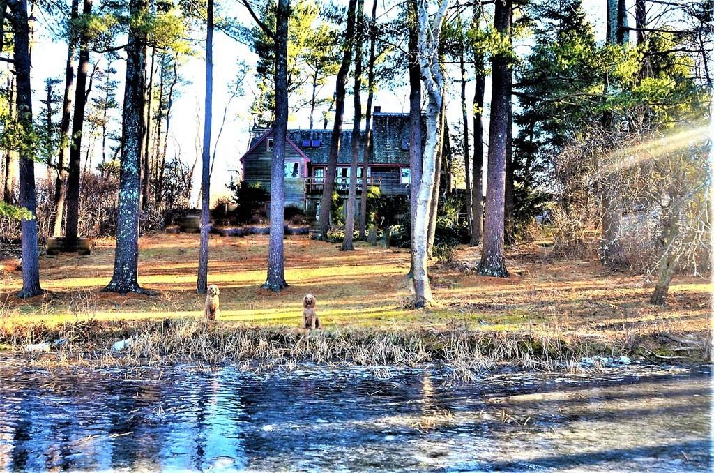 190 Argilla Road Ipswich, MA 01938 - Photo 1 of 40 a view of a water fountain in the middle of a yard