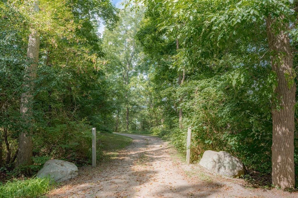 190 Argilla Road Ipswich, MA 01938 - Photo 28 of 40 a view of a forest