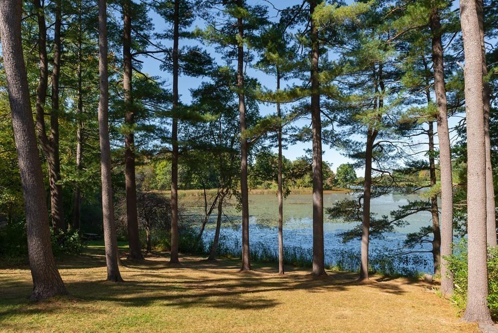 190 Argilla Road Ipswich, MA 01938 - Photo 35 of 40 a view of street with tall trees