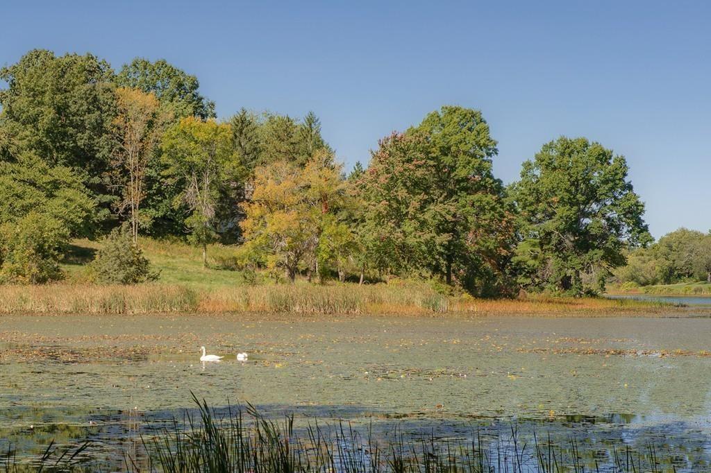 190 Argilla Road Ipswich, MA 01938 - Photo 37 of 40