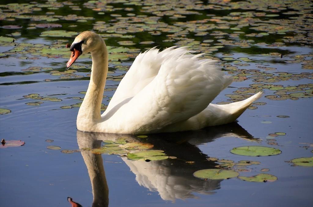 190 Argilla Road Ipswich, MA 01938 - Photo 38 of 40 a view of living room