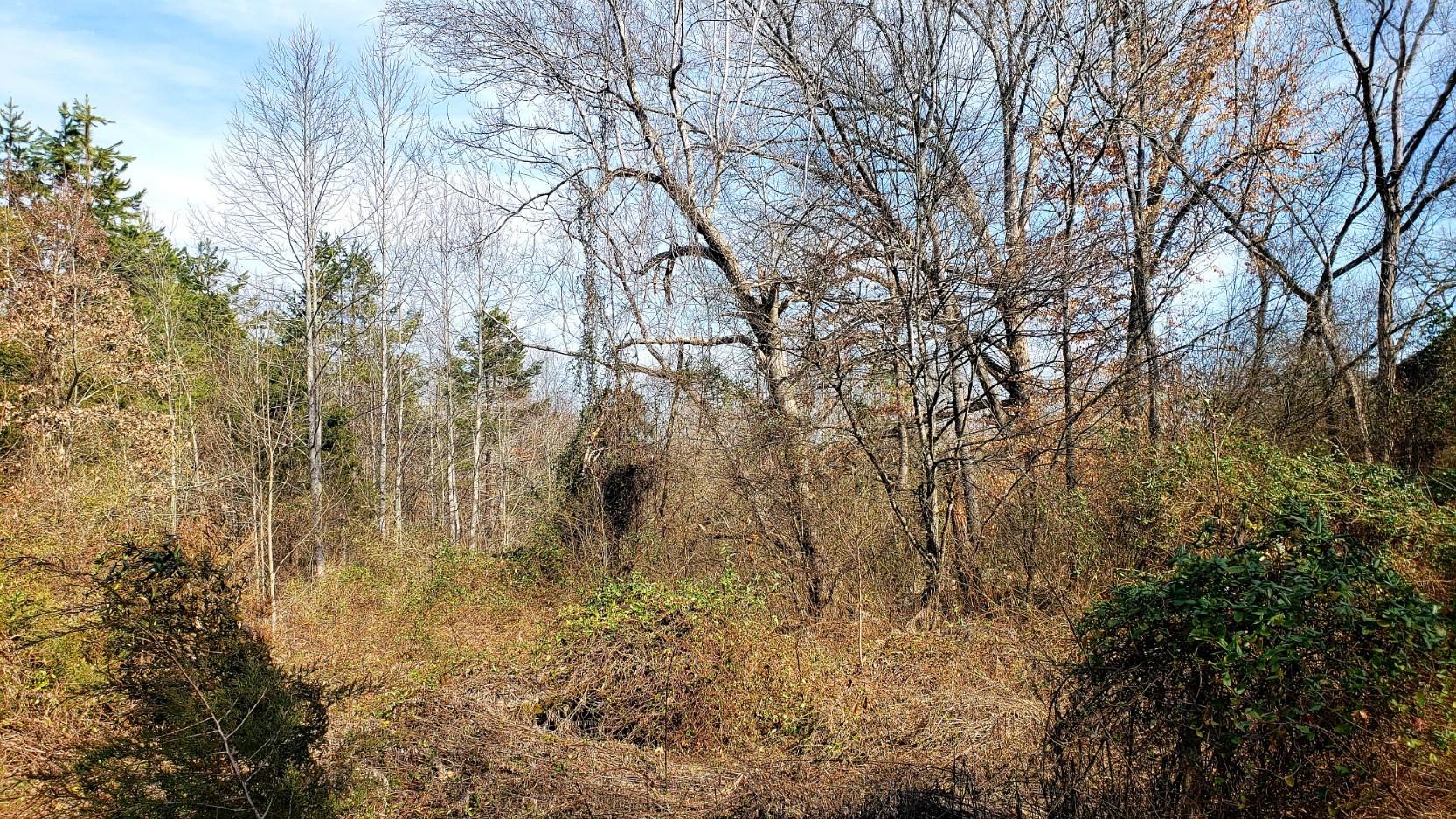 1791 Haggard Road Sevierville, TN 37876 - Photo 32 of 40 acreage