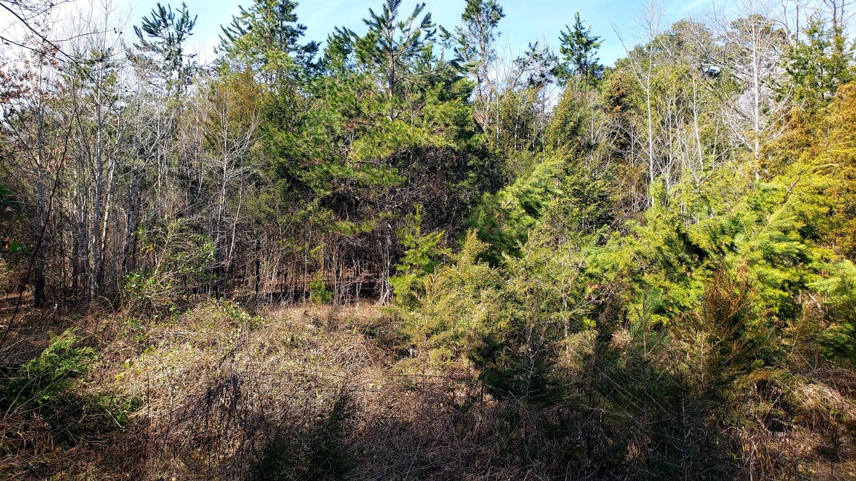 1791 Haggard Road Sevierville, TN 37876 - Photo 33 of 40 acreage