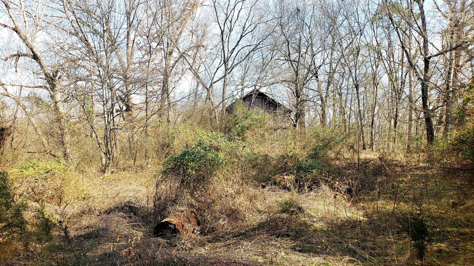 1791 Haggard Road Sevierville, TN 37876 - Photo 34 of 40 acreage