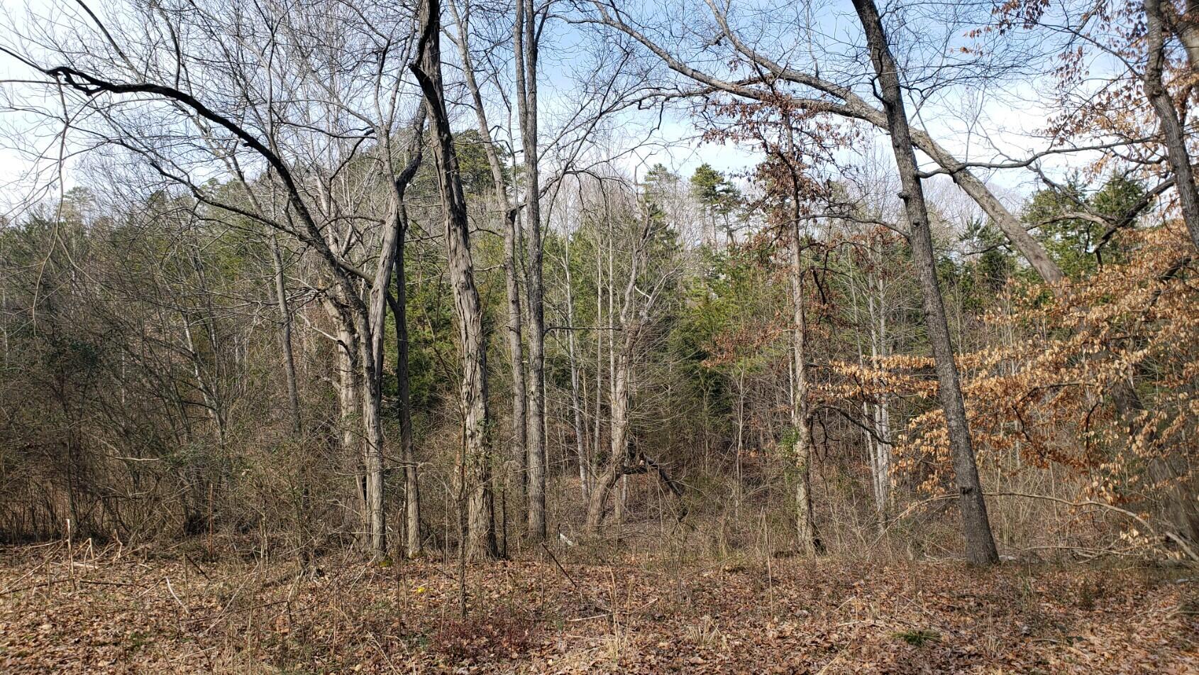 1791 Haggard Road Sevierville, TN 37876 - Photo 35 of 40 acreage