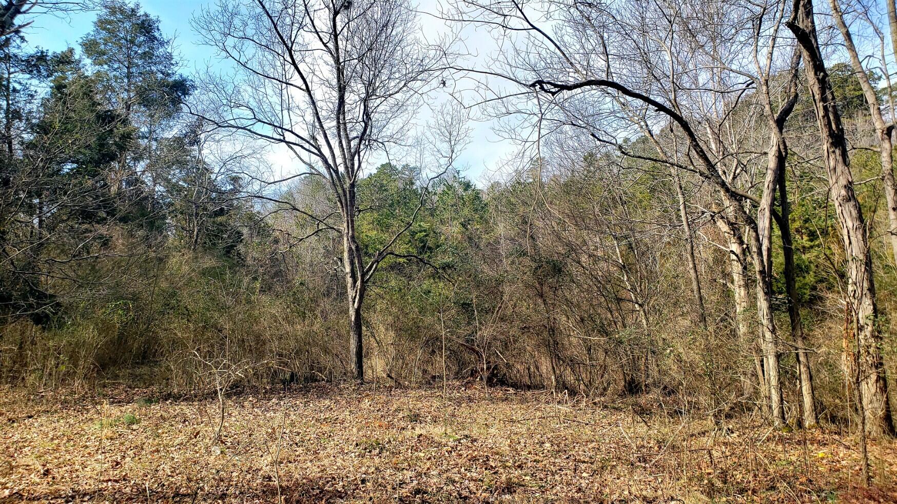 1791 Haggard Road Sevierville, TN 37876 - Photo 36 of 40 acreage