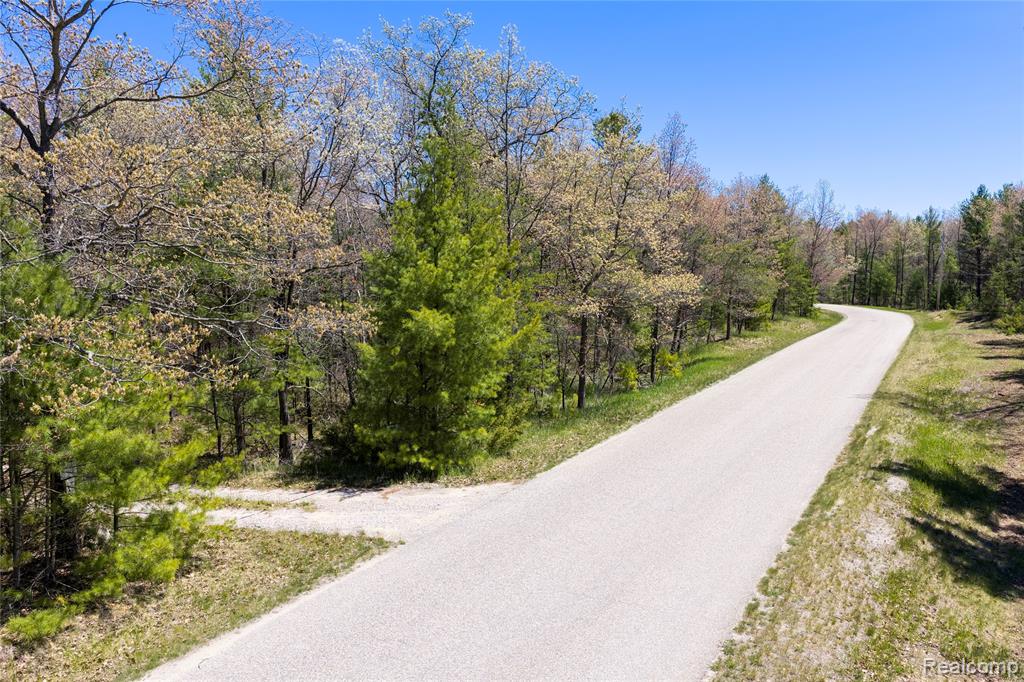 0 Scott Road East Tawas, MI 48730 - Photo 4 of 17