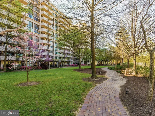 a view of outdoor space yard and patio