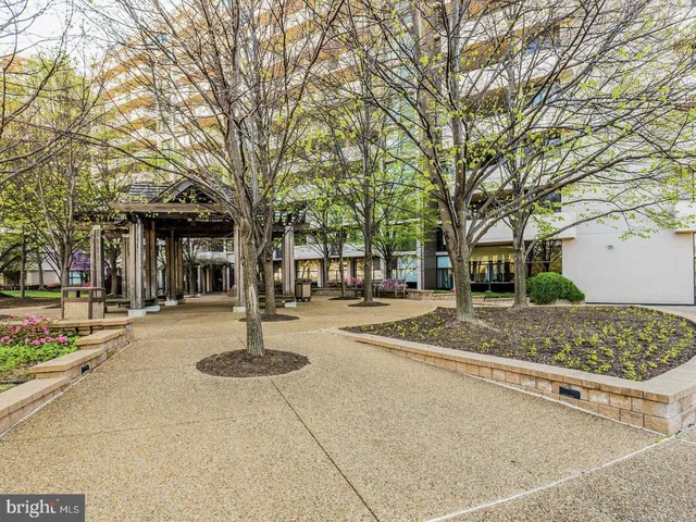 a view of a patio with table and chairs potted plants and large tree