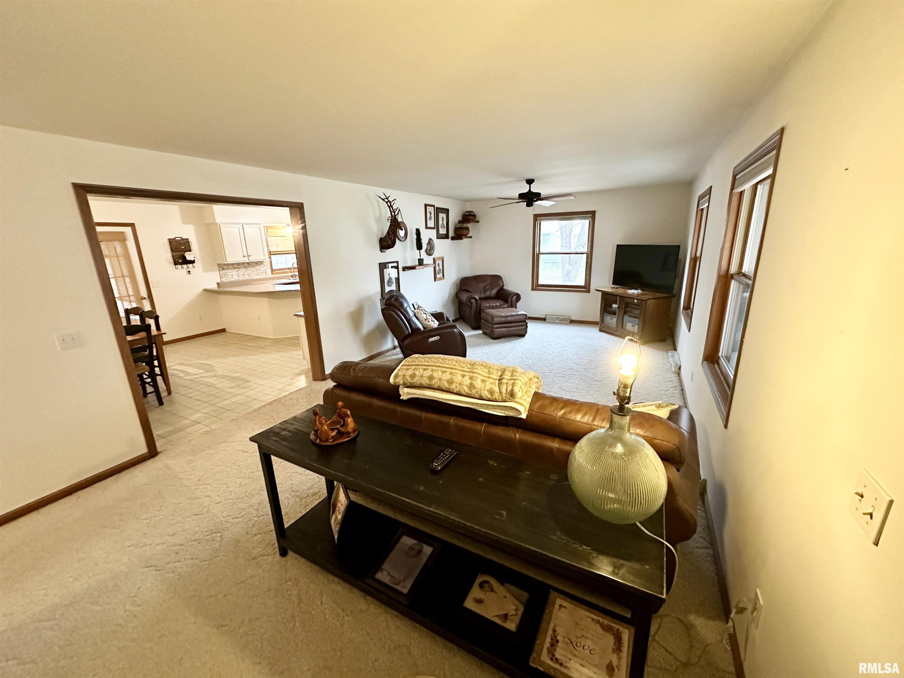 517 West 4th Street Beardstown, IL 62618 - Photo 8 of 38