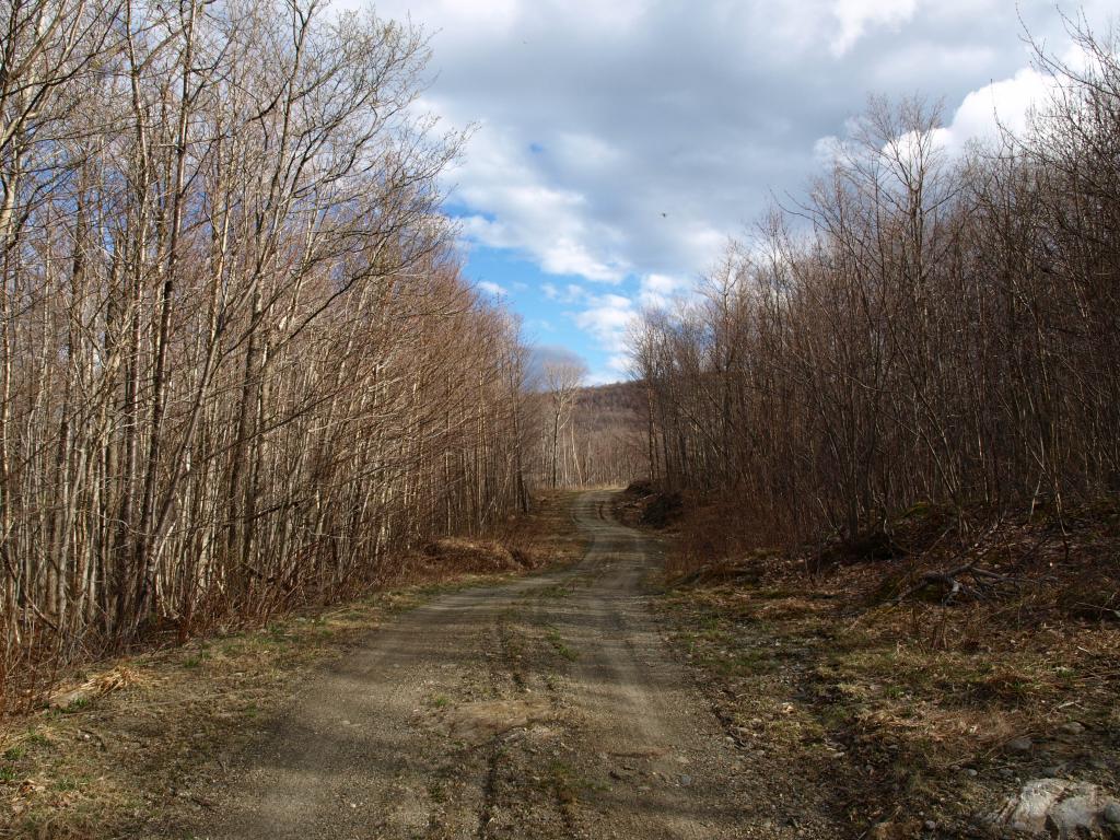 1767.3 Stevens Mill Road Jay, VT 05859 - Photo 2 of 5 Gallery Image 2