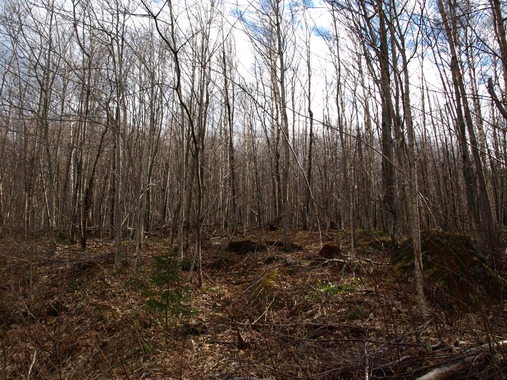 1767.3 Stevens Mill Road Jay, VT 05859 - Photo 3 of 5 Gallery Image 3