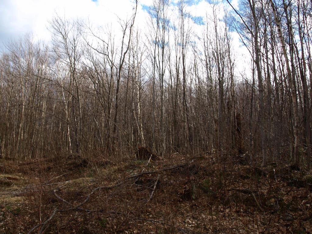 1767.3 Stevens Mill Road Jay, VT 05859 - Photo 4 of 5 Gallery Image 4