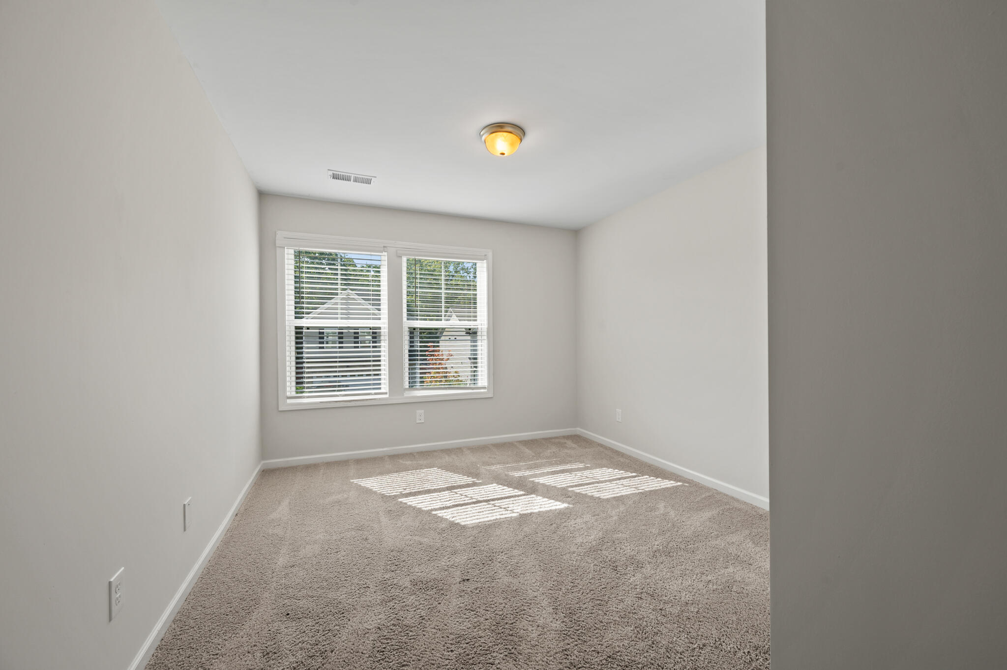 333 Wahoo Circle Irmo, SC 29063 - Photo 30 of 38 MOD_9608