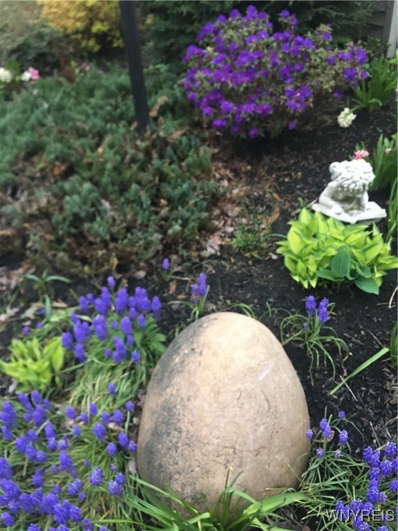 7353 Ward Road Boston, NY 14127 - Photo 8 of 45