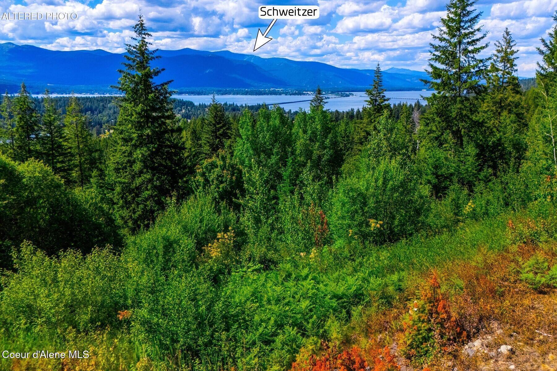 Lot 2 Forever View Road Sagle, ID 83860 - Photo 9 of 40 Panoramic Views - edited