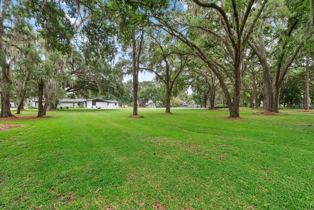 3518 Berger Road Lutz, FL 33548 - Photo 34 of 54