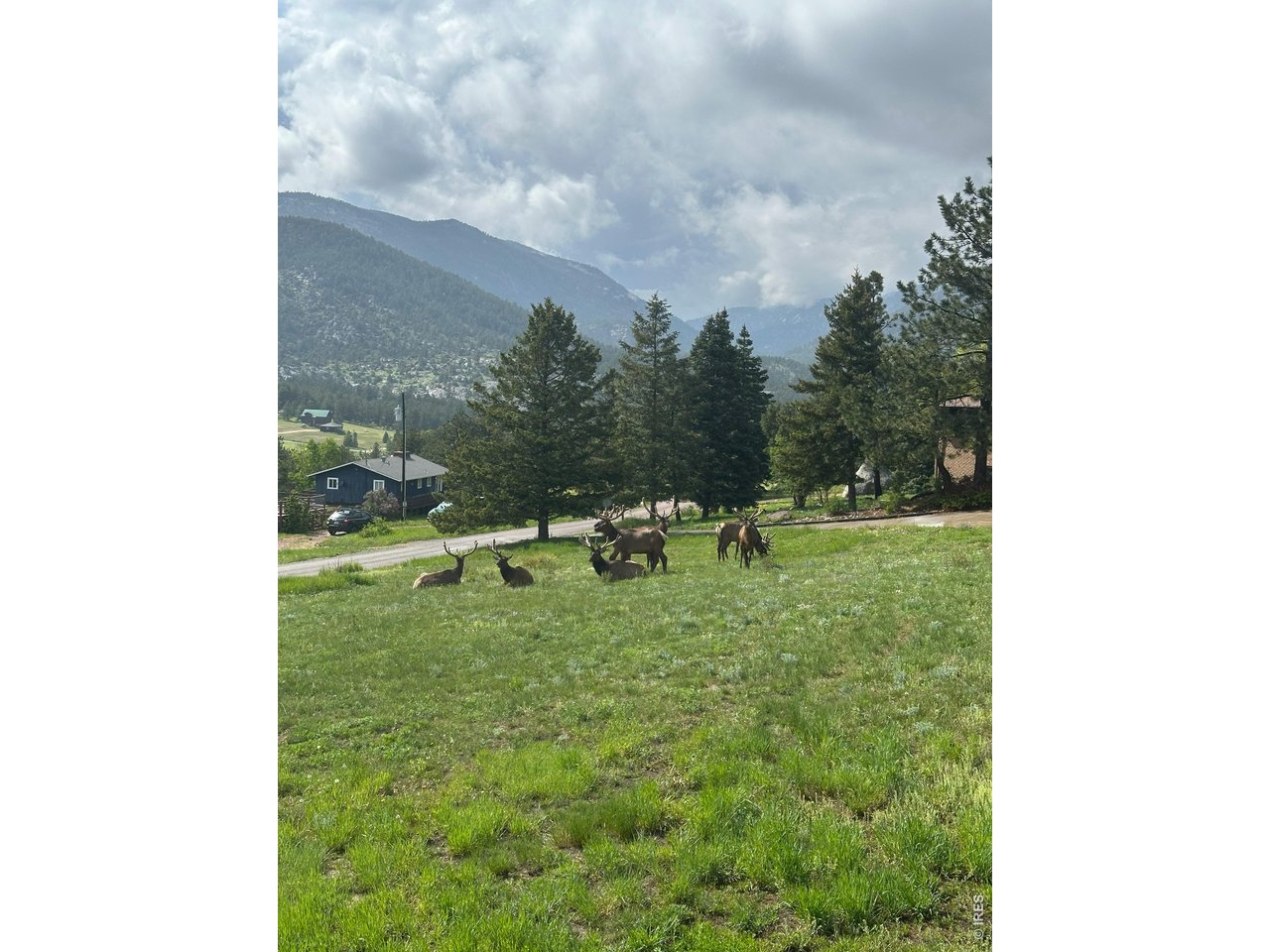 48 Button Rock Road Lyons, CO 80540 - Photo 6 of 10 a view of a backyard