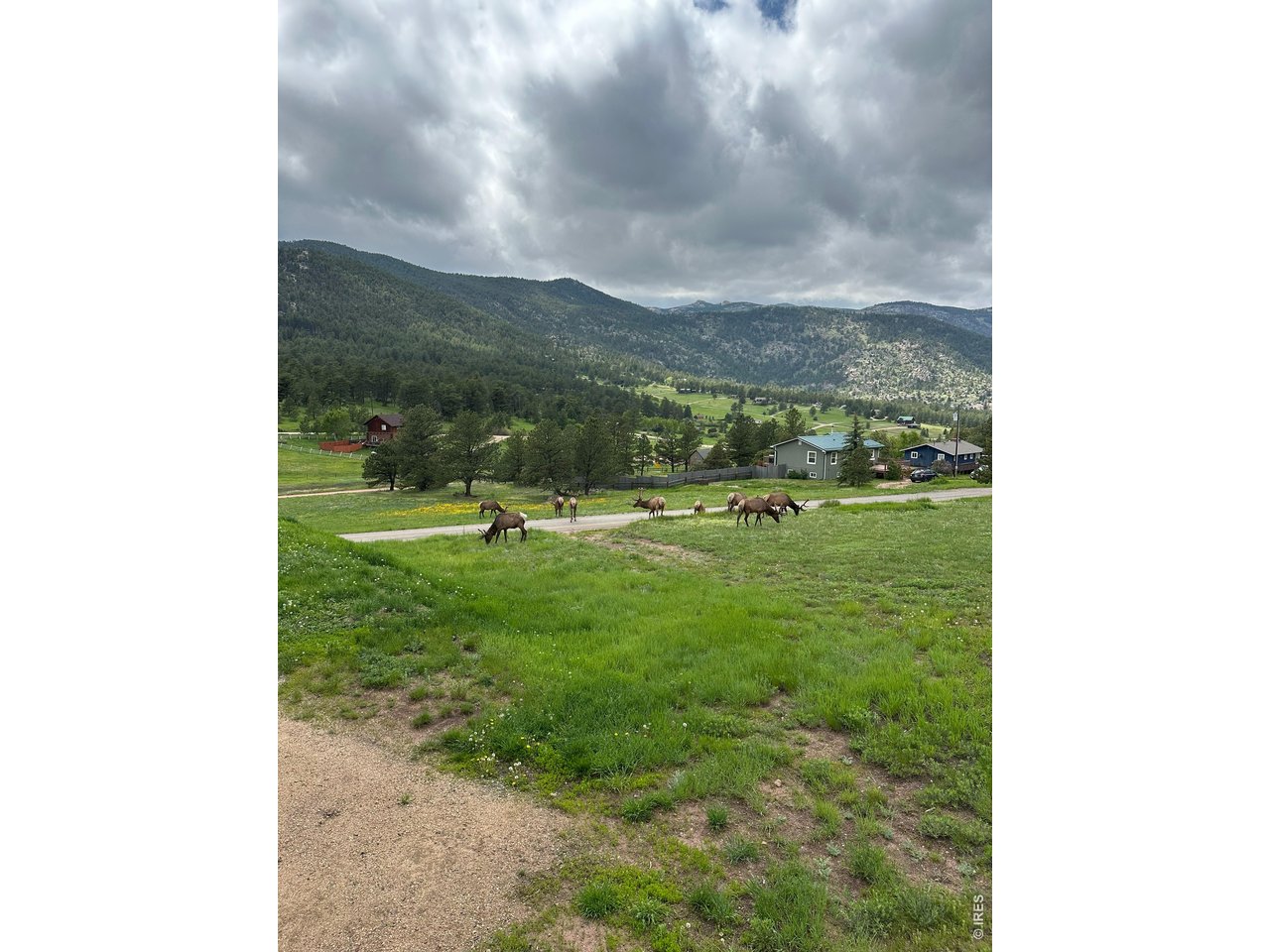 48 Button Rock Road Lyons, CO 80540 - Photo 7 of 10 a view of a green field