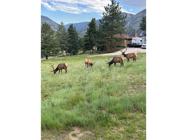 $988,000 | 48 Button Rock Road, Lyons, CO 80540