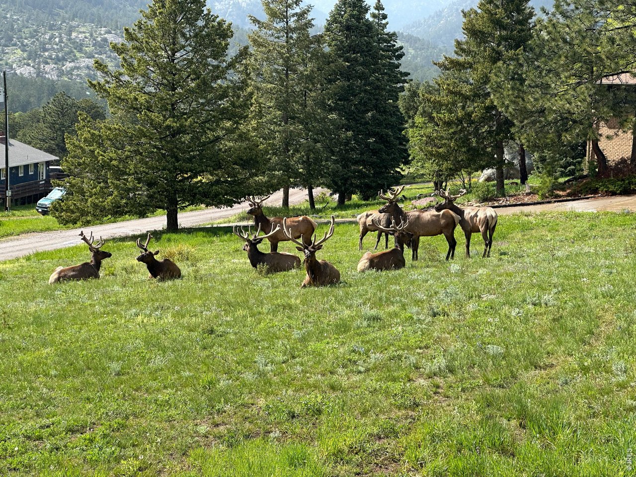 48 Button Rock Road Lyons, CO 80540 - Photo 9 of 10 a group of people sitting in a park