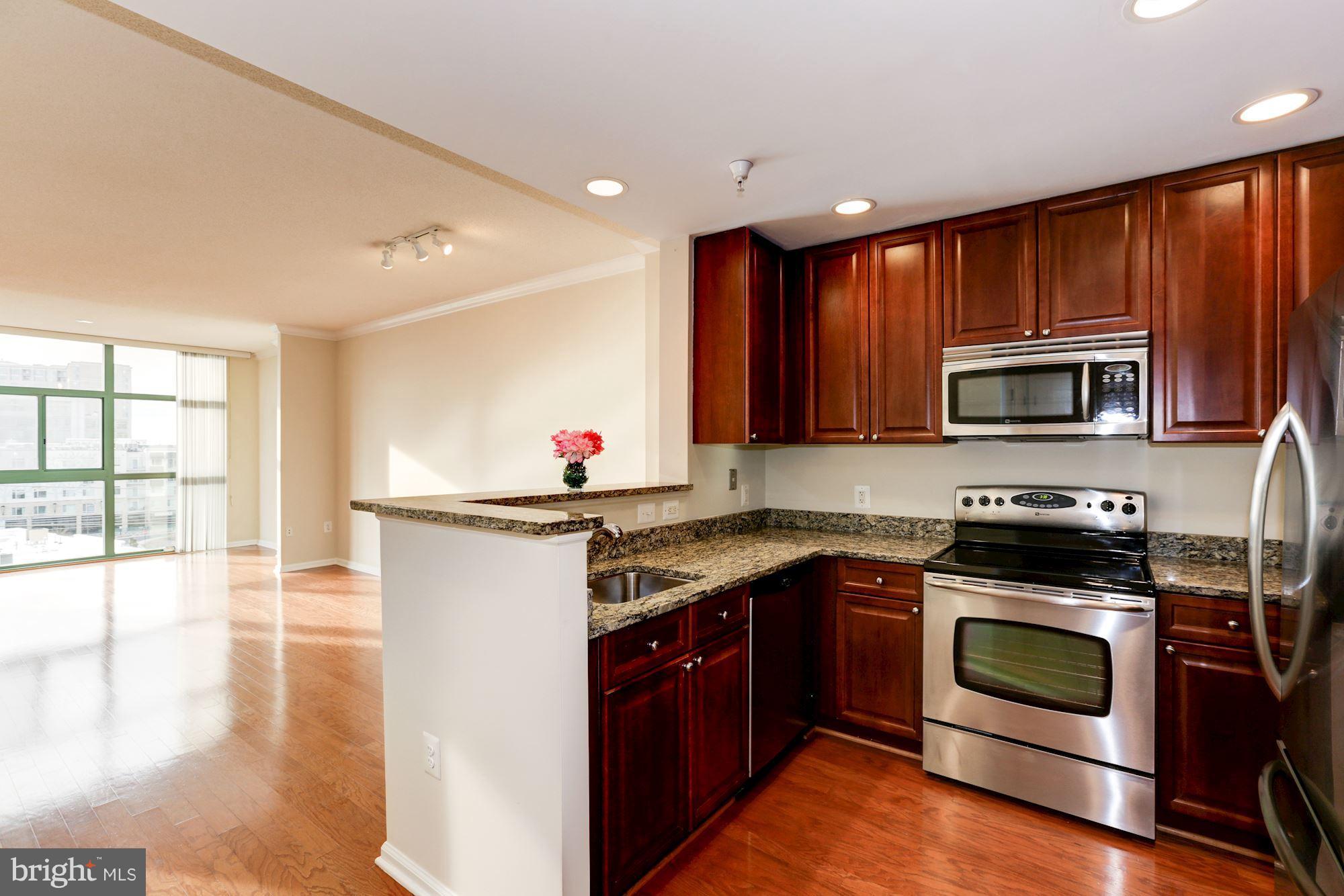 11700 Old Georgetown Road, Unit 503 North Bethesda, MD 20852 - Photo 3 of 28 Gallery Image 3