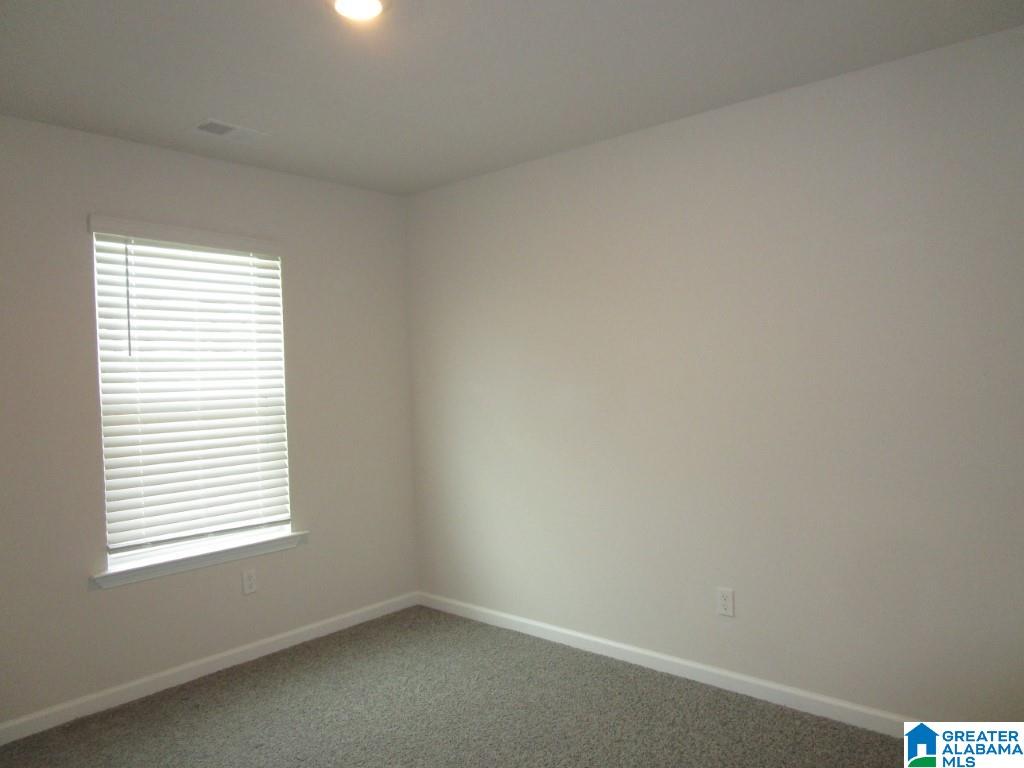 6213 Rainbow Row Pell City, AL 35128 - Photo 24 of 31